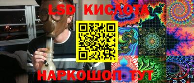 прущие грибы Жуковский