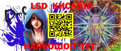 прущие грибы Жуковский