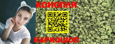 молекула духа Заводоуковск