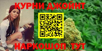 прущие грибы Жуковский