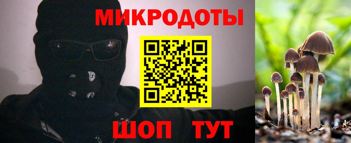 Псилоцибиновые грибы мухоморы  Псилоцибиновые грибы Psilocybe  Кушва  Вход с VPN 